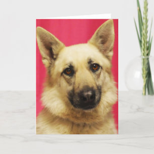 German Shepherd Greeting Card