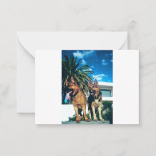 german shepherd group card