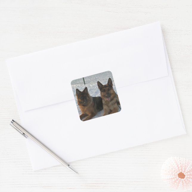 German Shepherd Group In Snow Square Sticker (Envelope)