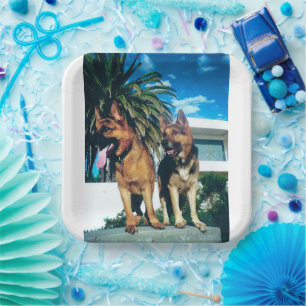 german shepherd group paper plate