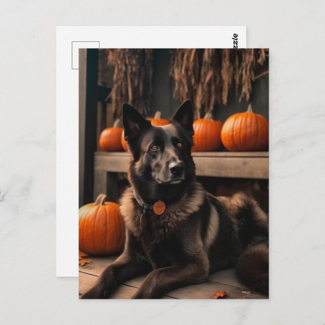 German Shepherd Halloween Postcard (Front/Back)