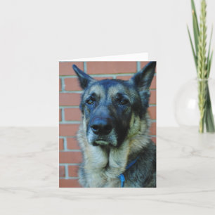 German Shepherd Happy Fathers Day Card