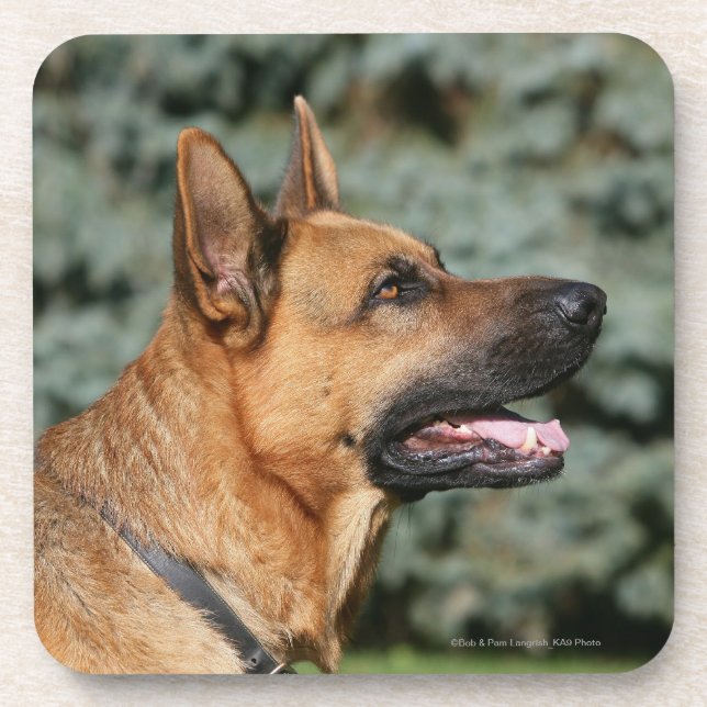 German Shepherd Headshot 1 Coaster (Front)