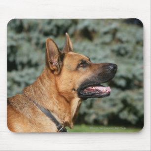 German Shepherd Headshot 1 Mouse Pad