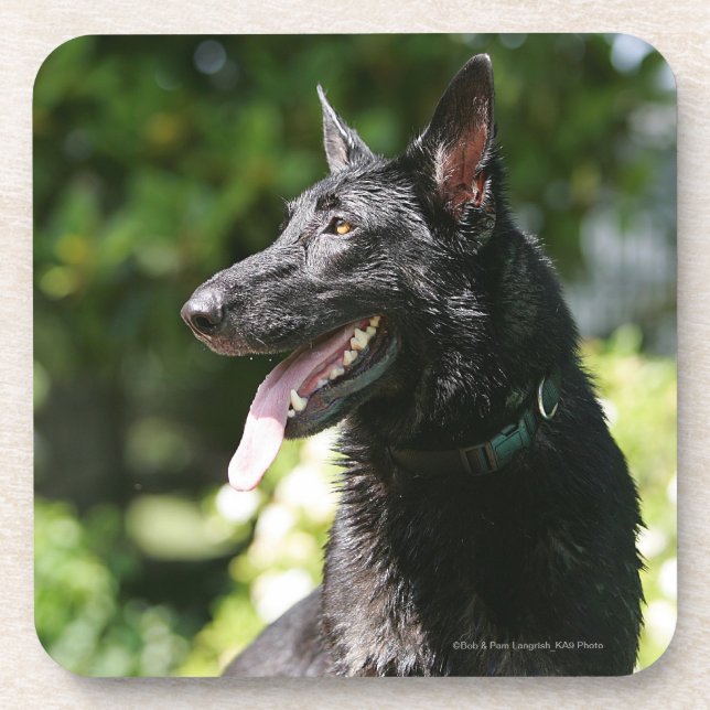 German Shepherd Headshot 2 Coaster (Front)