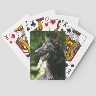German Shepherd Headshot 2 Playing Cards