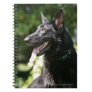 German Shepherd Headshot 2 Spiral Notebook