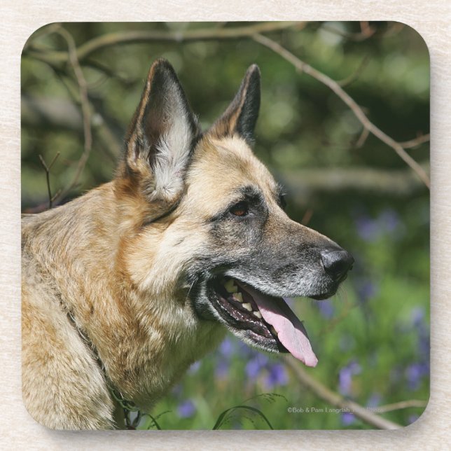 German Shepherd Headshot 3 Coaster (Front)