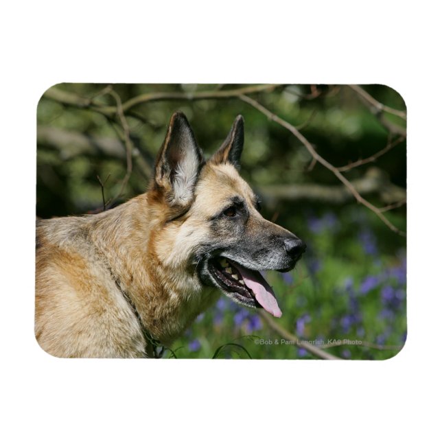 German Shepherd Headshot 3 Magnet (Horizontal)