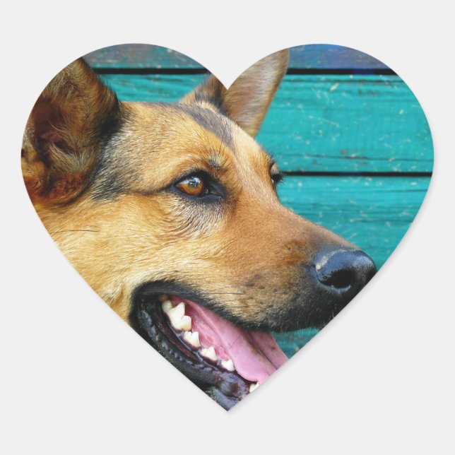 german shepherd heart sticker (Front)