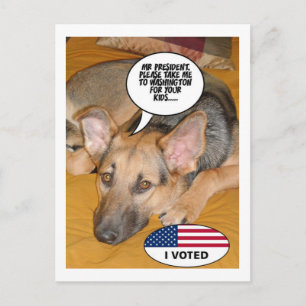 German Shepherd Humour Postcard