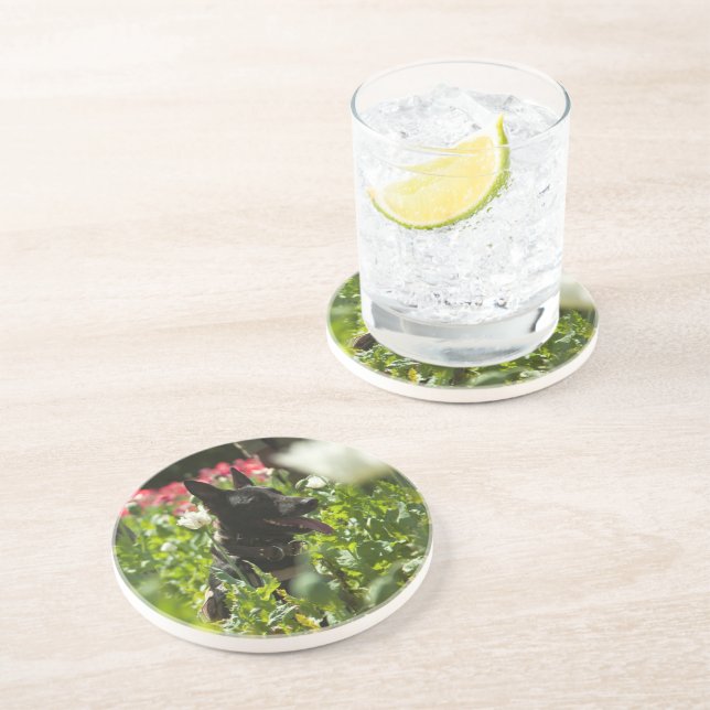 German Shepherd in a Field Coaster (Side)