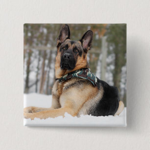 German Shepherd In Snow 15 Cm Square Badge