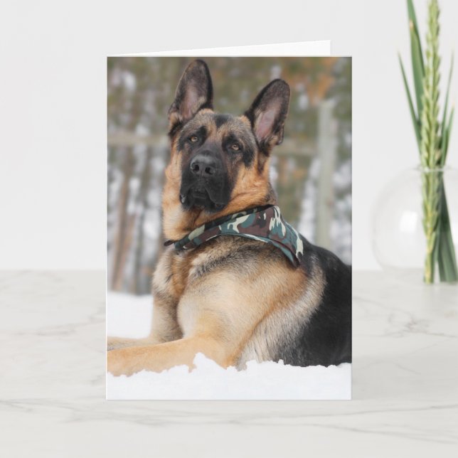 German Shepherd In Snow Card (Front)