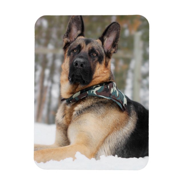 German Shepherd In Snow Magnet (Vertical)