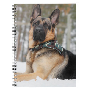 German Shepherd In Snow Notebook