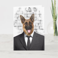 German Shepherd in Suit for Birthday
