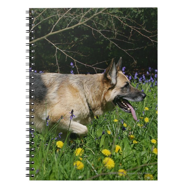 German Shepherd in Yellow Flowers Spiral Notebook (Front)