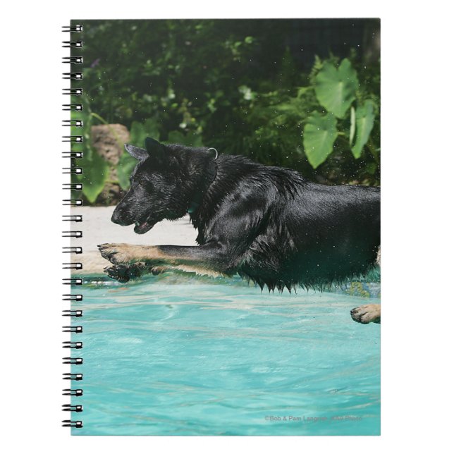 German Shepherd Jumping in Water Spiral Notebook (Front)