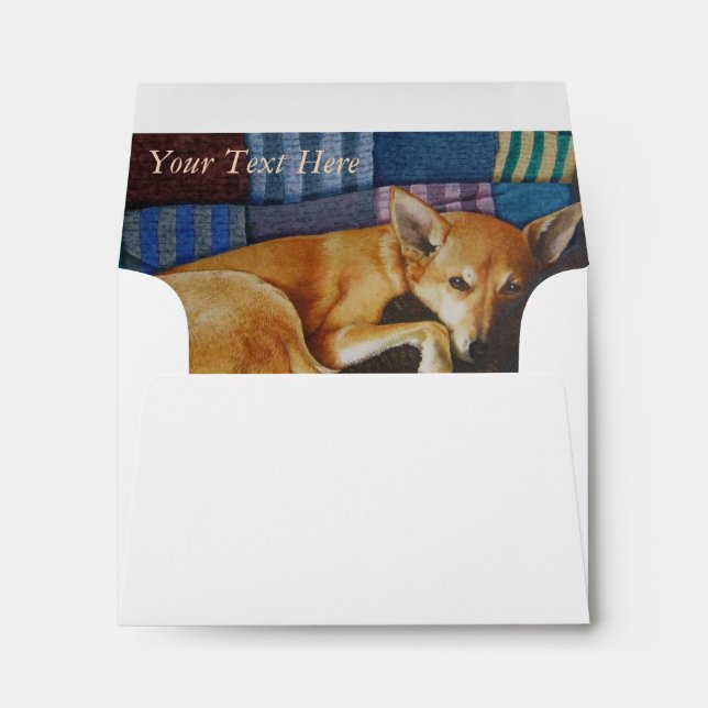 german shepherd labrador mixed breed dog  envelopes (Back (Bottom))