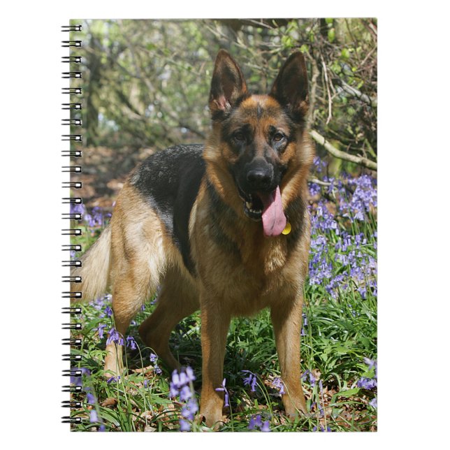 German Shepherd Laying Down Spiral Notebook (Front)