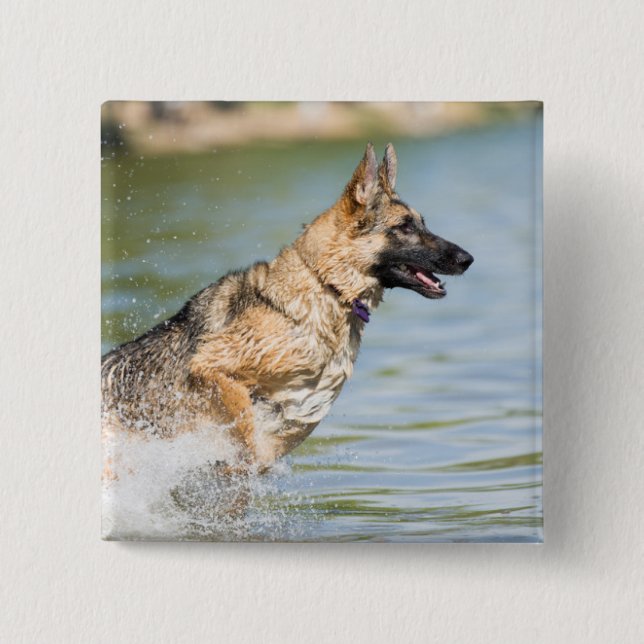 German Shepherd Leaps Into Water 15 Cm Square Badge (Front)