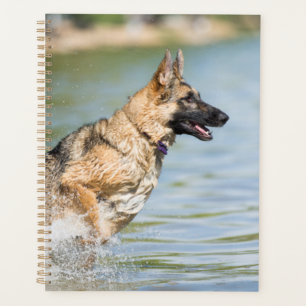 German Shepherd Leaps Into Water Planner