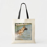 German Shepherd Leaps Into Water