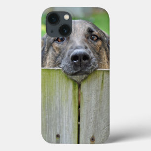 German Shepherd Looking Over Fence iPhone 13 Case