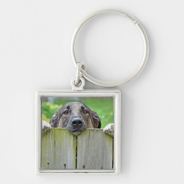 German Shepherd Looking Over Fence Key Ring (Front)