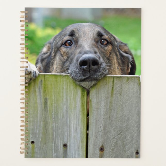 German Shepherd Looking Over Fence Planner (Front)