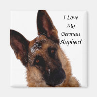 German Shepherd Magnet