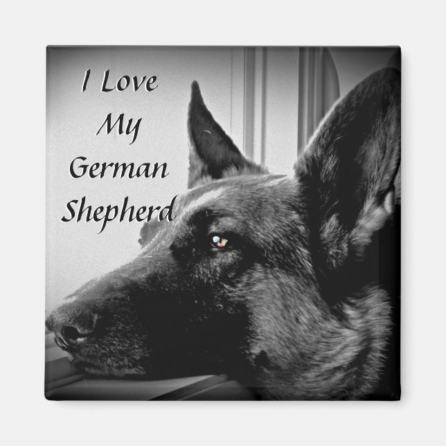 German Shepherd Magnet (Front)
