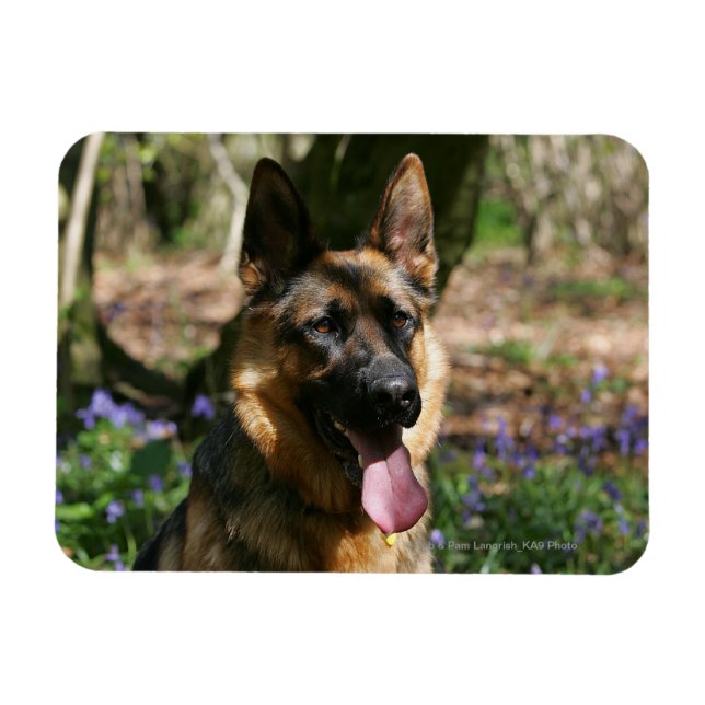 German Shepherd Magnet (Horizontal)