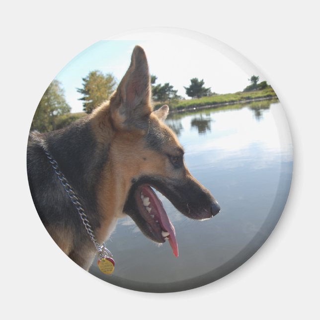 German Shepherd Magnet (Front)