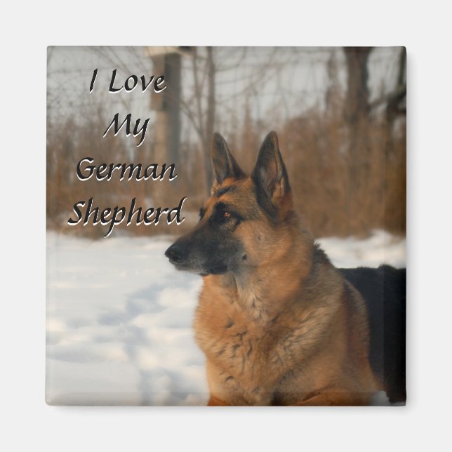 German Shepherd Magnet (Front)