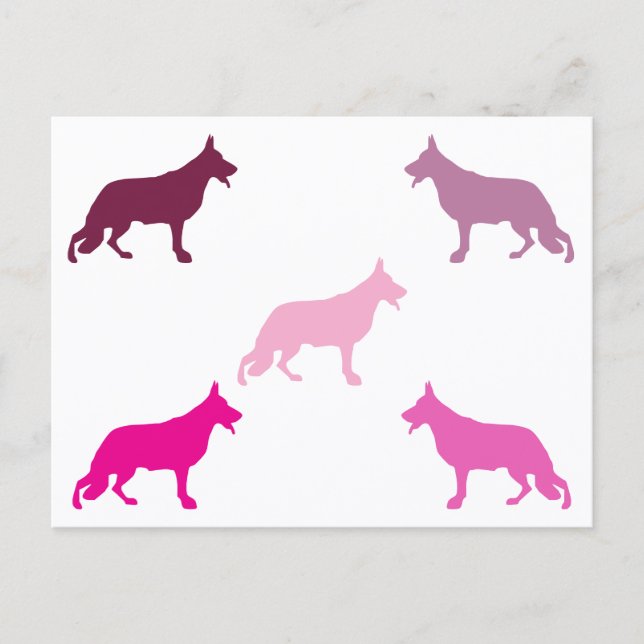 German Shepherd minimal pattern magenta  Postcard (Front)