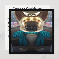 German Shepherd Mirrored Distortion