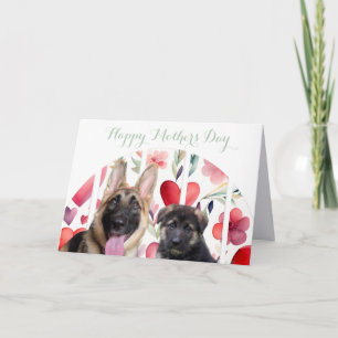 German Shepherd: Mothers Day Card