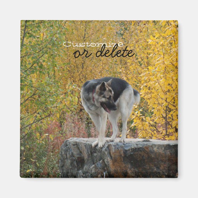 German Shepherd on a Rock; Customisable Magnet (Front)