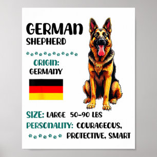 German Shepherd Origin Funny German Shepherd Lover Poster