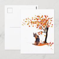 German Shepherd Owl And Fall Tree Dog Owner Autumn