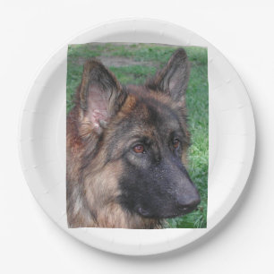 german shepherd paper plate