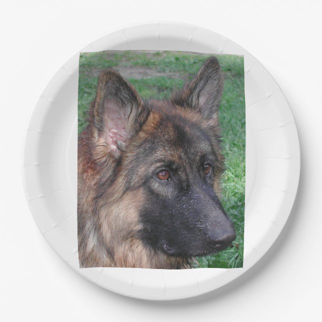 german shepherd paper plate (Front)