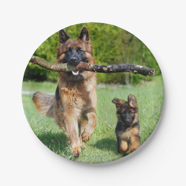 German Shepherd Paper Plates (Front)