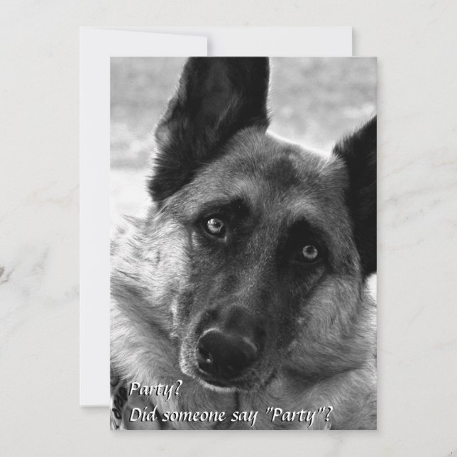 German Shepherd Party Invitations (Front)