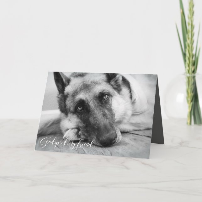 German Shepherd Pet Loss Sympathy Card (Front)