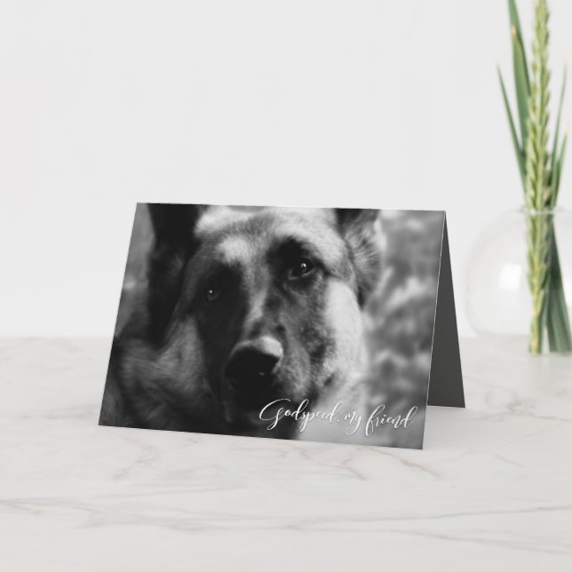 German Shepherd Pet Loss Sympathy Card (Front)