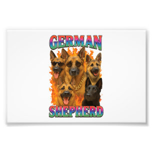 German Shepherd Photo Print