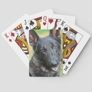 German Shepherd Playing Cards